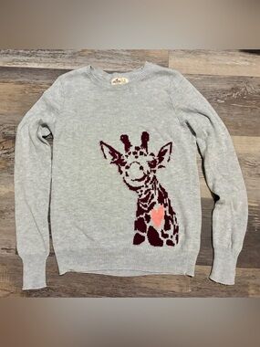 Hollister Graphic Giraffe 🦒Sweater